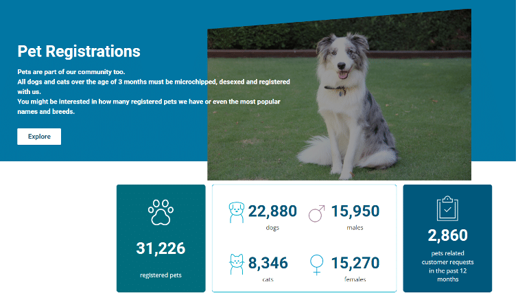 pet registrations dashboard screenshot