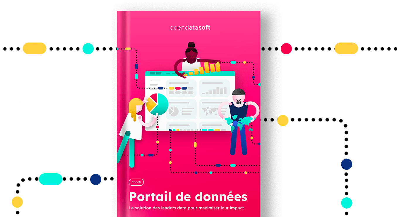 ebook portail de données