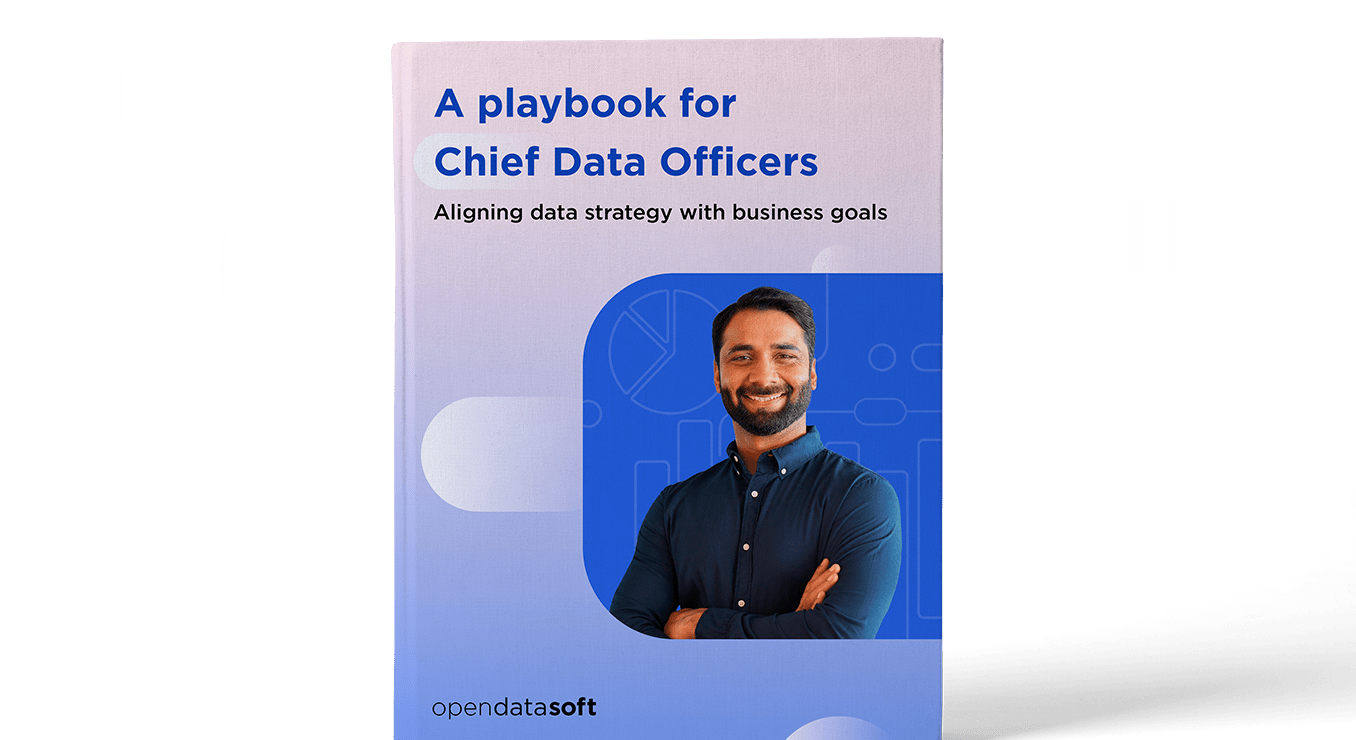 a playbook for chief data officers